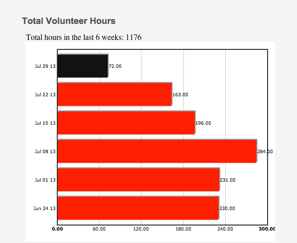 Volunteers in Nepal contribute over 1100 hours of service in 6 weeks